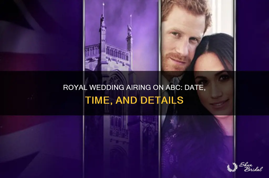 when is royal wedding airing on abc