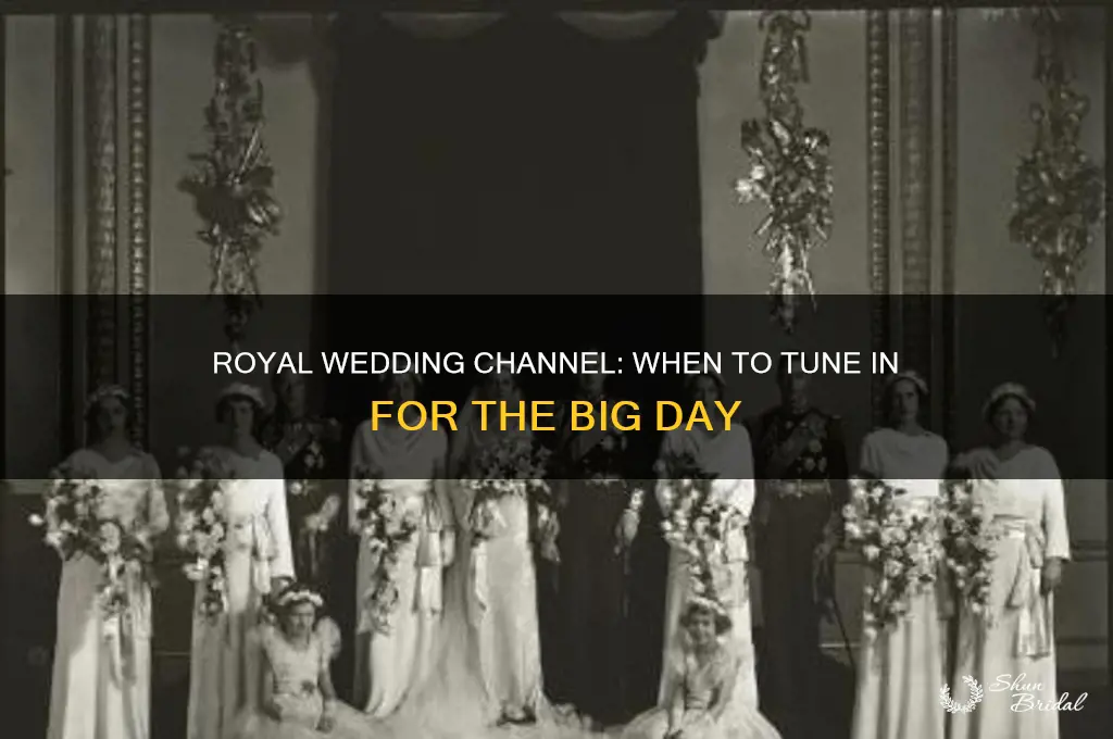 when is royal wedding channel
