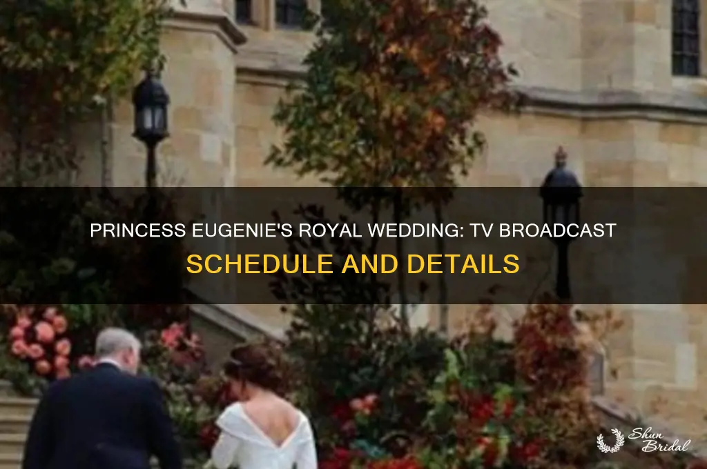 when is royal wedding eugenie on tv