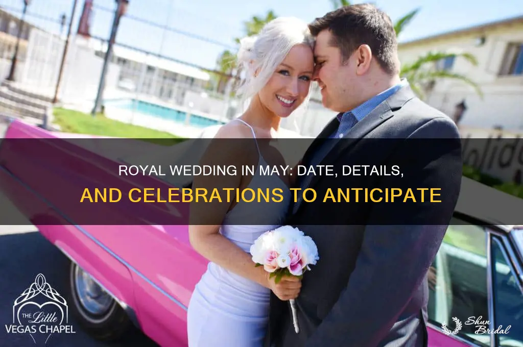 when is royal wedding in may