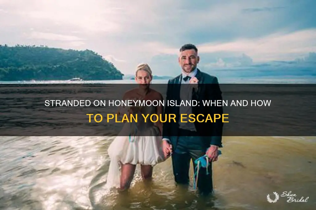 when is stranded on honeymoon island on