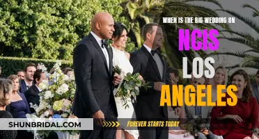 NCIS: Los Angeles" Showcases a Big Wedding in Season 1