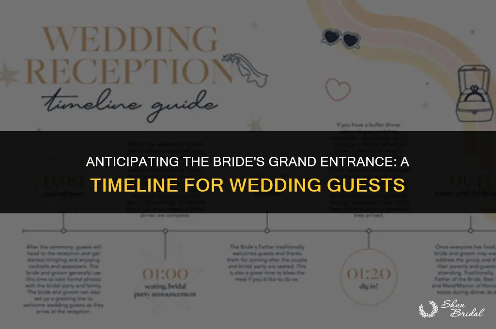 when is the bride coming out
