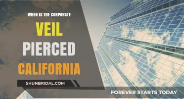 When Does California Pierce the Corporate Veil? Key Legal Insights