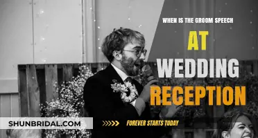 Groom's Guide: Speech Timing at Wedding Reception