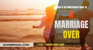Understanding the Transience of Honeymoon Phase in Marriages