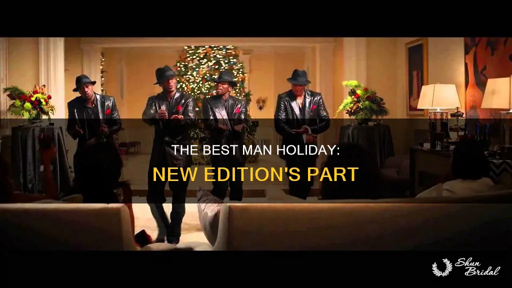 when is the new edition part in best man holiday