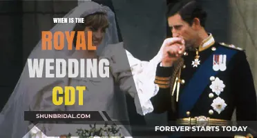 Royal Wedding Countdown: When to Watch the Ceremony in CDT