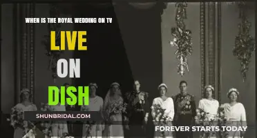 Royal Wedding TV Schedule: Live Broadcast on Dish Network