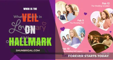 When Does Hallmark's 'Veil' Premiere? A Complete Guide
