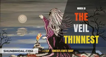When the Veil Thins: Unveiling the Mystical Moments of Connection