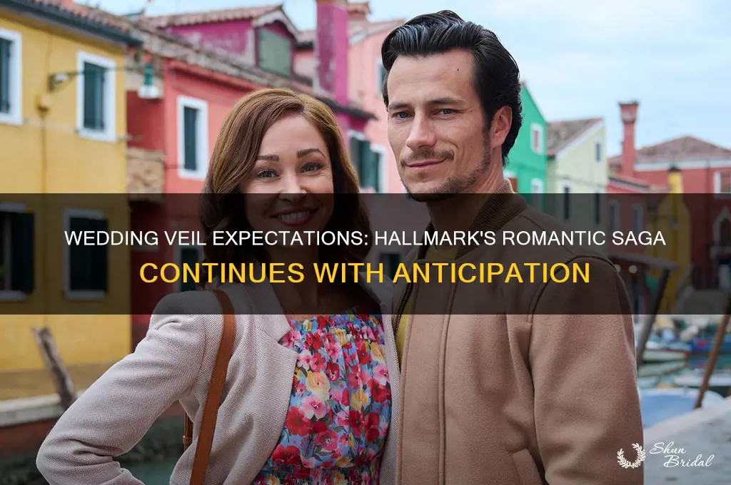when is the wedding veil expectations on hallmark