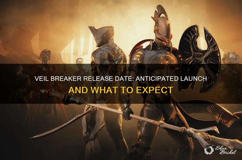 when is veil breaker coming out