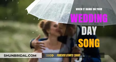 Rain on Your Wedding Day: The Story Behind the Song