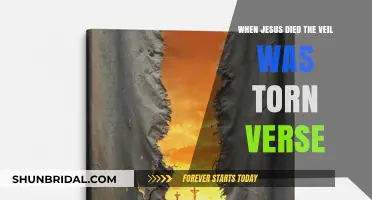 The Torn Veil: Unveiling the Moment Jesus Died and Changed Everything