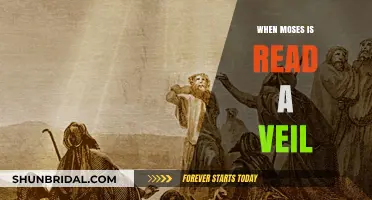 Unveiling the Mystery: When Moses' Veil Meets Divine Revelation