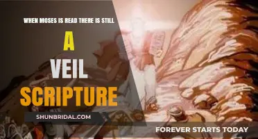 Unveiling Truth: Moses' Scripture and the Enduring Veil Explained