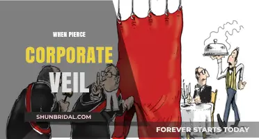 When and How Courts Pierce the Corporate Veil Explained
