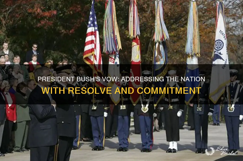 when president bush addresses the nation he vowed to