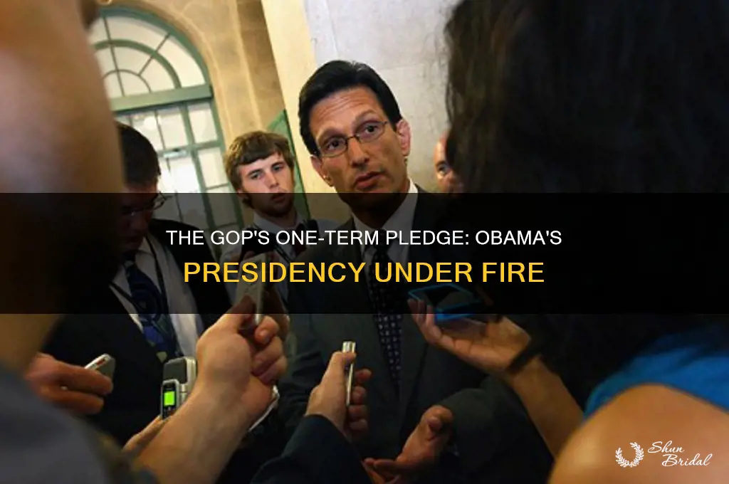 when republicans vowed to make obama a one-term president