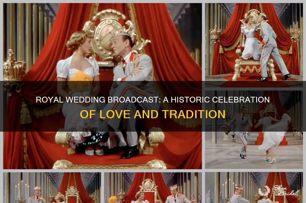when royal wedding broadcast