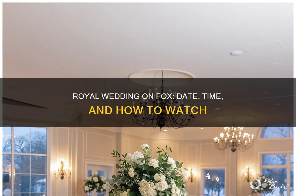 when royal wedding on fox