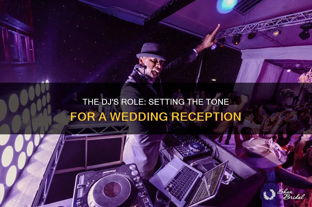 when should a dj start at a wedding reception