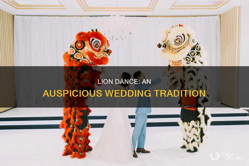 when should a lion dance be done during a wedding