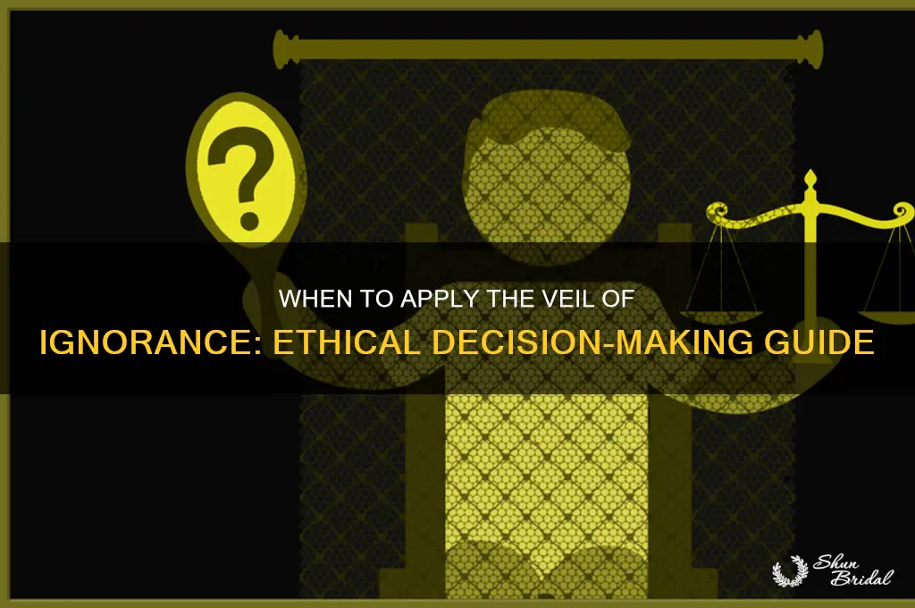 when should a veil of ignorance be used