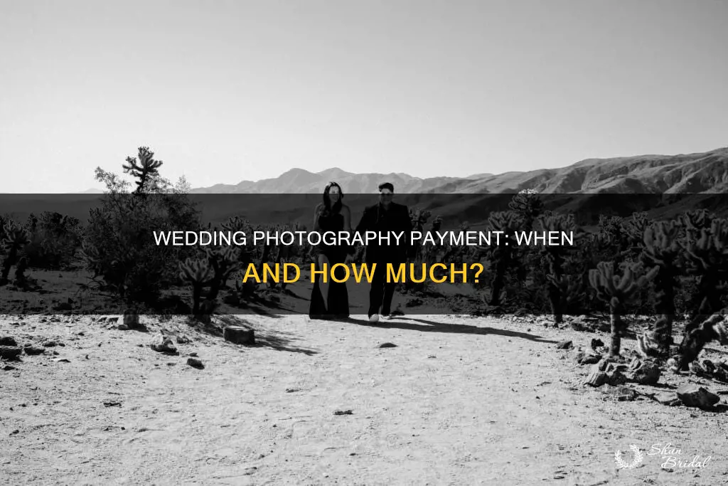 when should a wedding photographer be paid