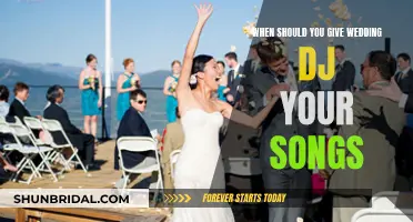 Your Wedding DJ: Music Requests and Timing