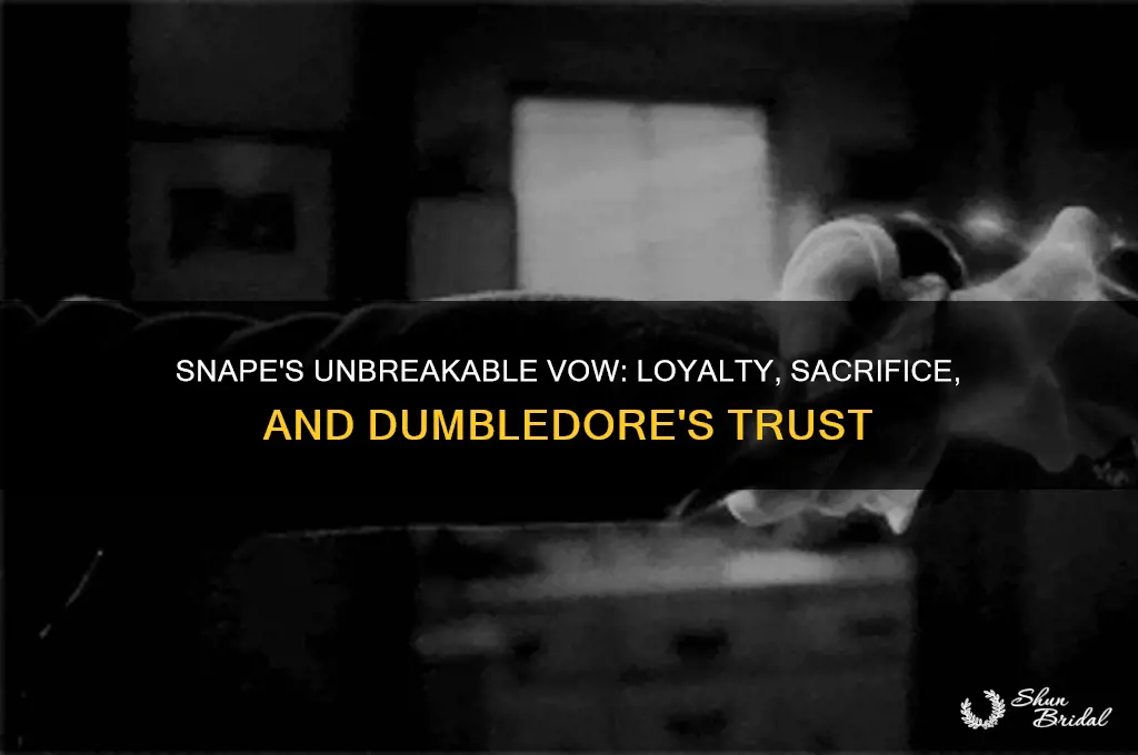 when snape made the unbreakable vow