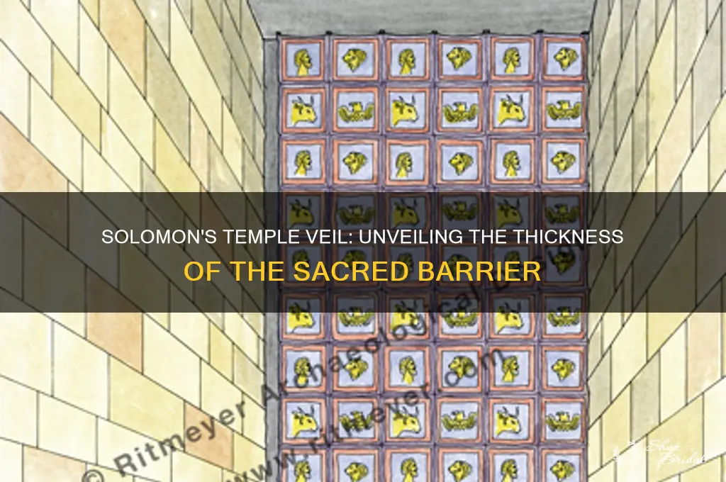 when solomon rebuilt the temple how thick was the veil