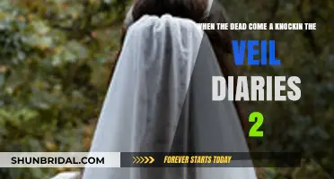 The Veil Diaries 2: When the Dead Come Knocking
