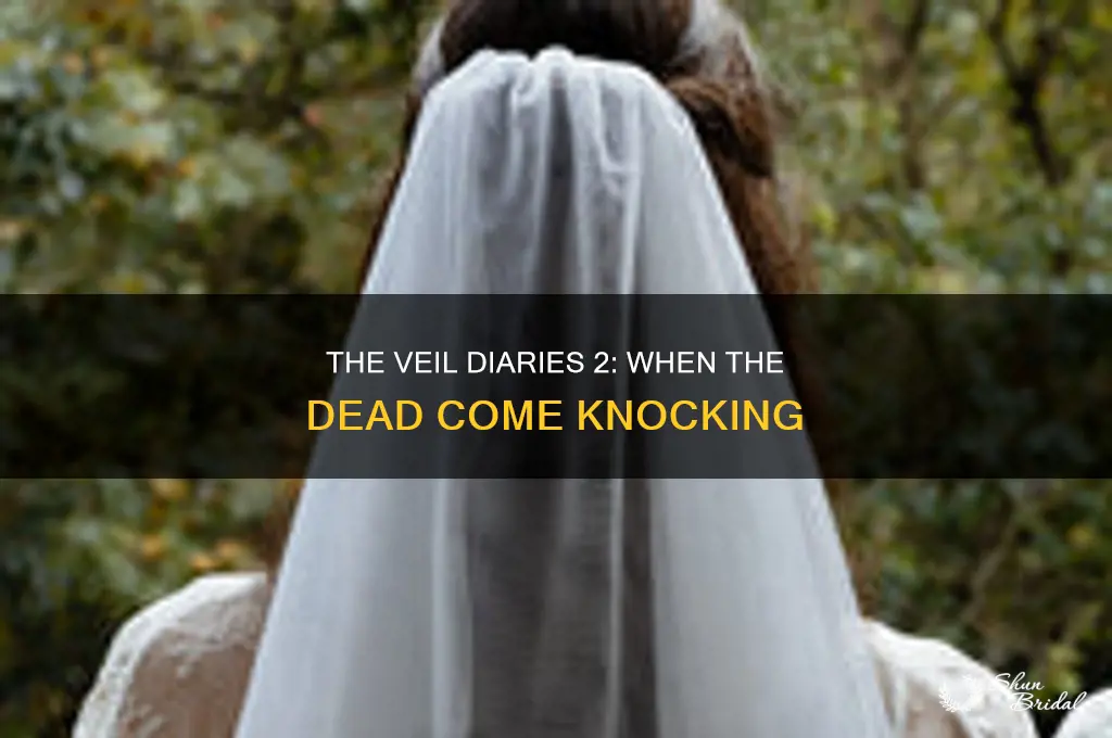 when the dead come a knockin the veil diaries 2
