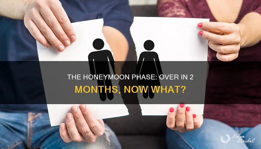 when the honeymoon is over after 2 months