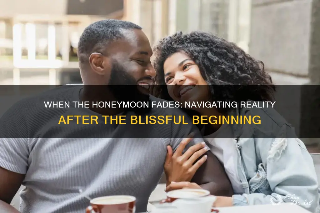 when the honeymoon is over
