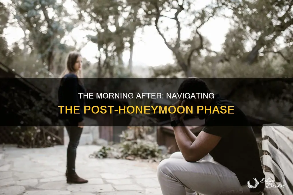 when the honeymoon phase fades part 1 the real daytime