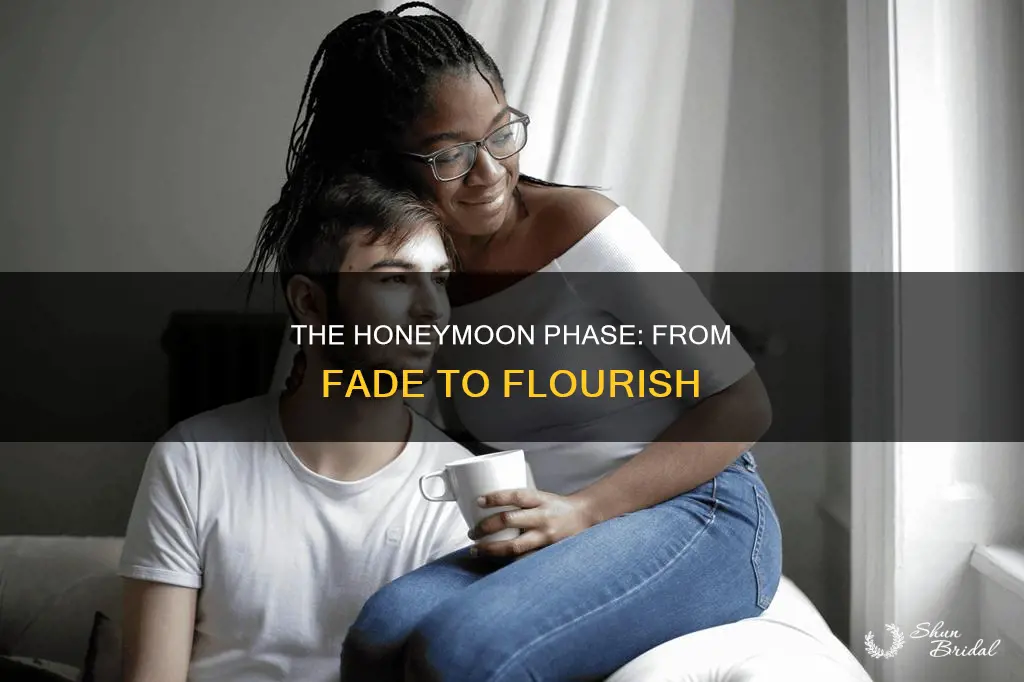 when the honeymoon phase fades