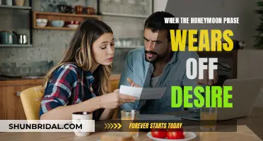 The Honeymoon Phase: Navigating Desire's Evolution