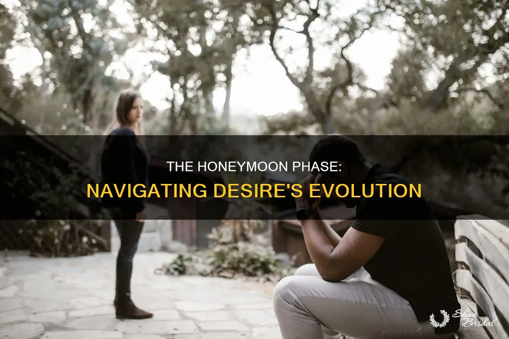 when the honeymoon phase wears off desire