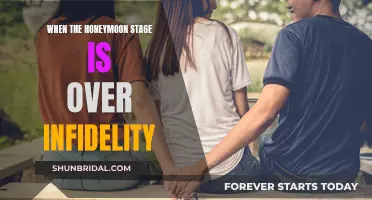 The Honeymoon Stage: Infidelity and its Impact