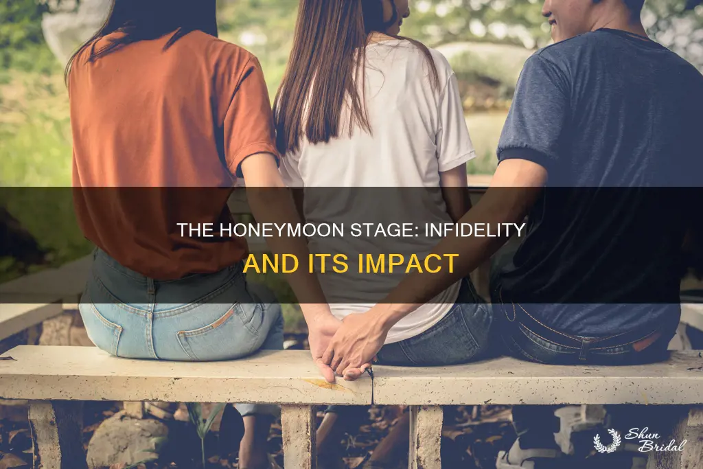 when the honeymoon stage is over infidelity
