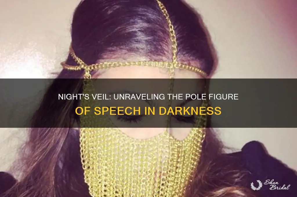 when the night had veiled the pole figure of speech