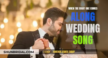 The Right One: A Wedding Song for Your Soulmate