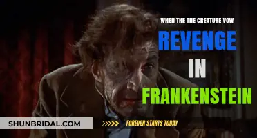 The Creature's Vow: Revenge and Betrayal in Frankenstein's Tale