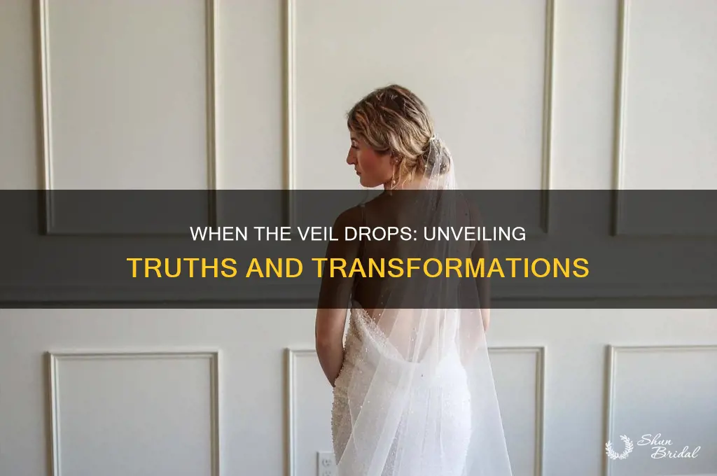 when the veil drops