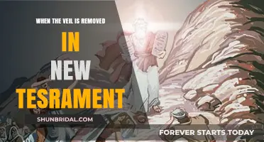 Unveiling Truth: New Testament Insights on Spiritual Revelation