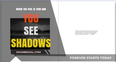 When the Veil Thins: Shadows, Spirits, and the Unseen World