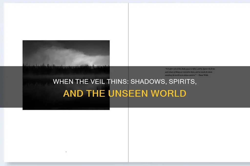 when the veil is thin and you see shadows